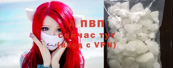 ГАЛЛЮЦИНОГЕННЫЕ ГРИБЫ Кулебаки