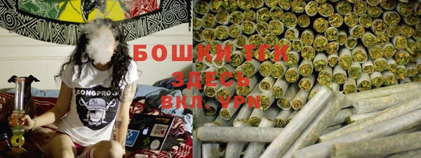 ГАЛЛЮЦИНОГЕННЫЕ ГРИБЫ Кулебаки