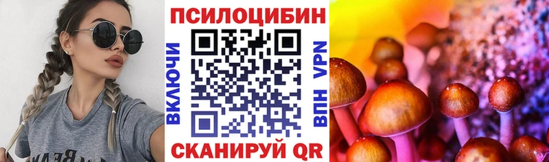 Галлюциногенные грибы мицелий  Ессентуки 